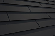 Ebony